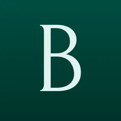 Boxberry, лого-визитка